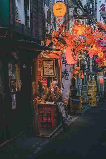 蘑菇影视官网——便携版本对比探索秘籍（官方版）